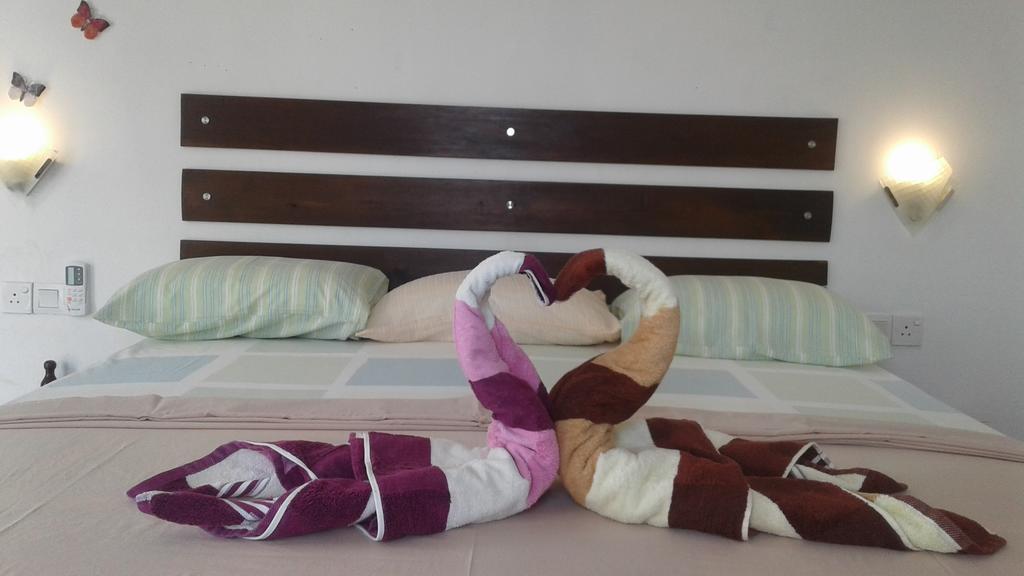Petit Guest House Negombo Exterior foto
